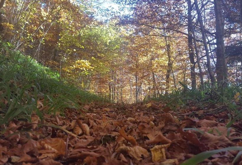 پانسیون Apartmani Matko