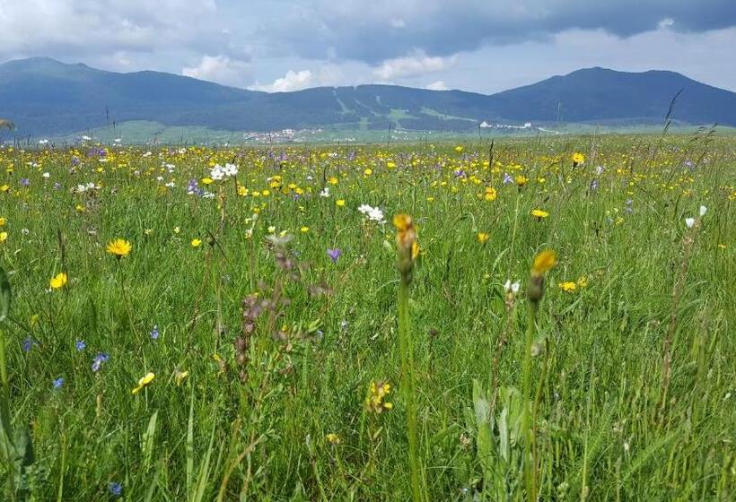 پانسیون Apartmani Matko