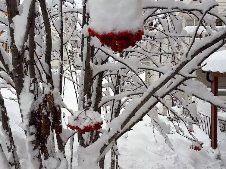 Majatalo Arctic Rooms Rektor