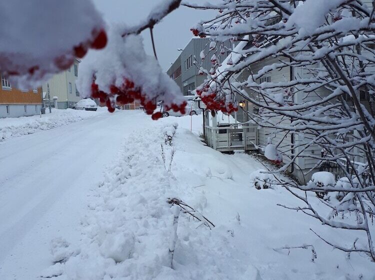 펜션 Arctic Rooms Rektor