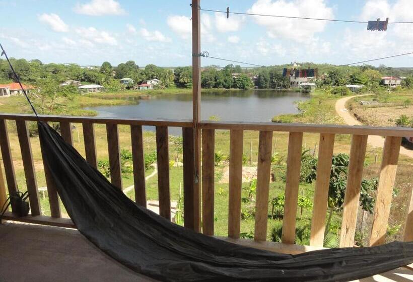 هاستل Amy S Room