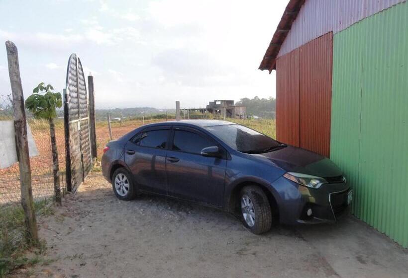 هاستل Amy S Room