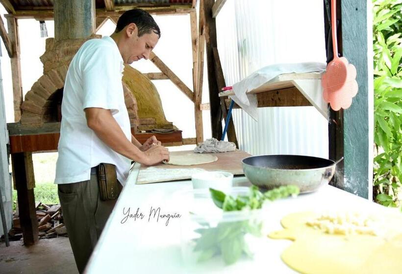 هاستل Amy S Room