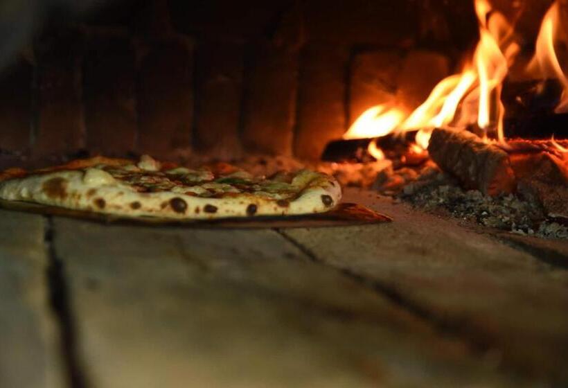 هاستل Amy S Room