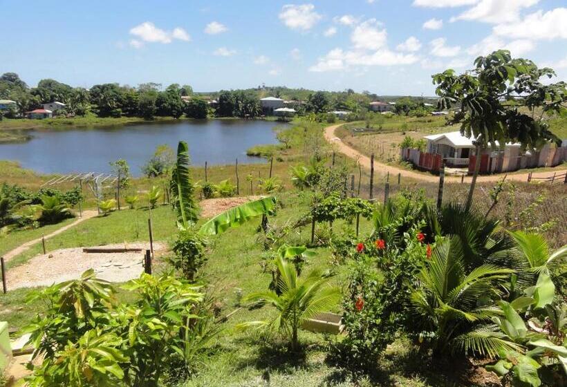 هاستل Amy S Room