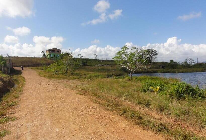 هاستل Amy S Room