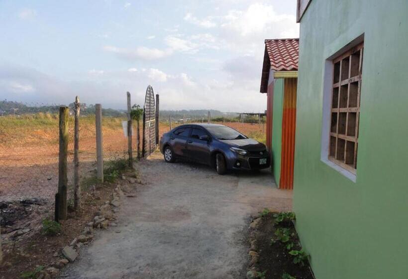 هاستل Amy S Room