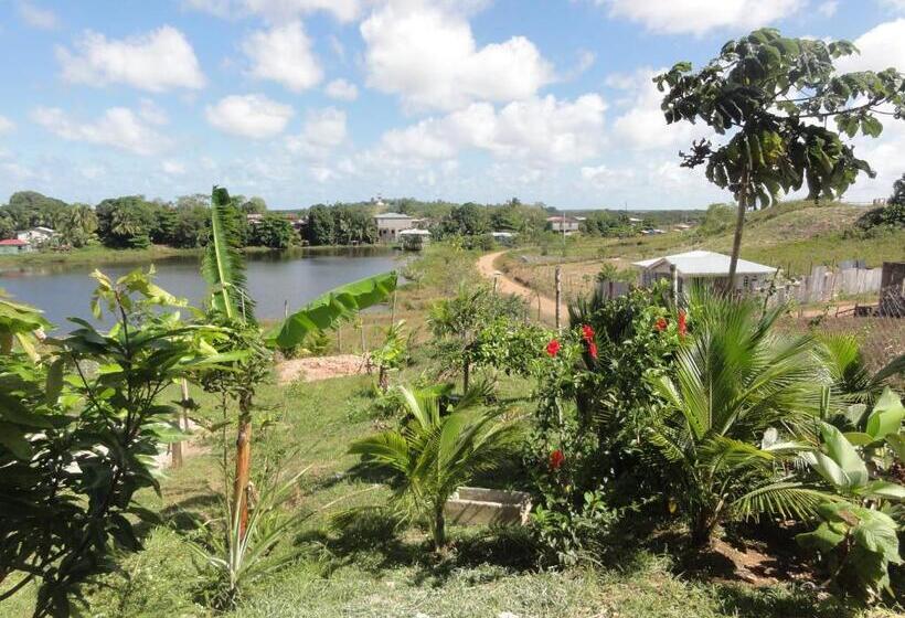 هاستل Amy S Room