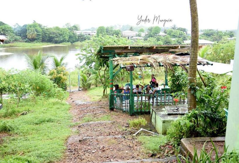 هاستل Amy S Room