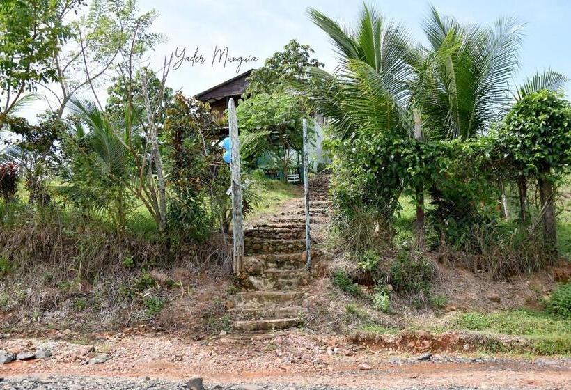 هاستل Amy S Room