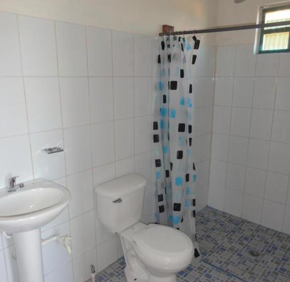 هاستل Amy S Room