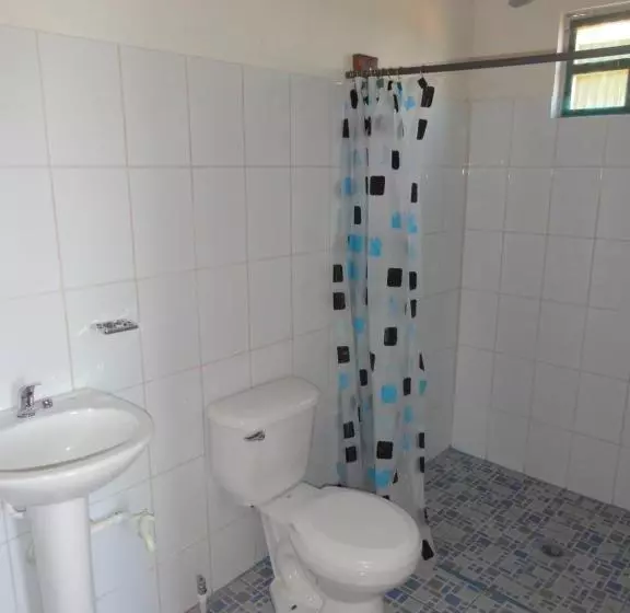 هاستل Amy S Room