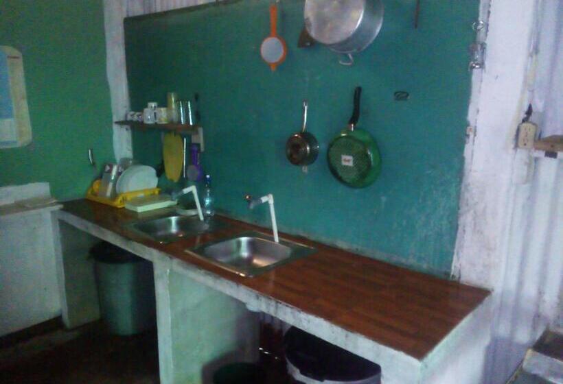 هاستل Amy S Room