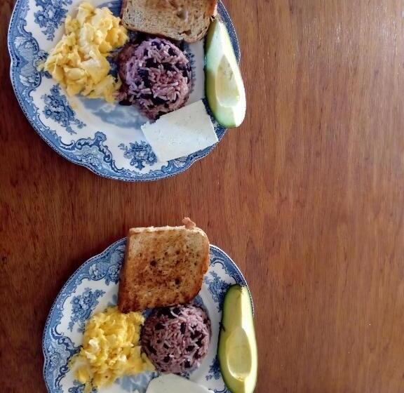 هاستل Amy S Room