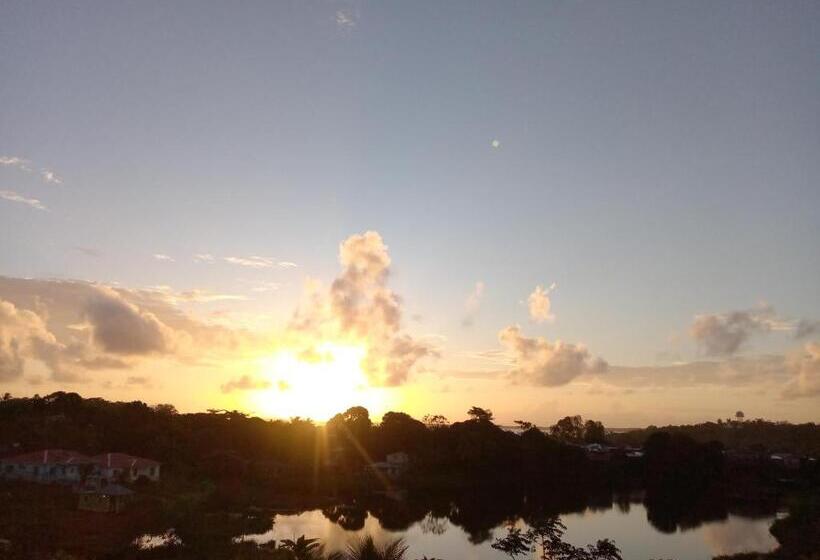 هاستل Amy S Room