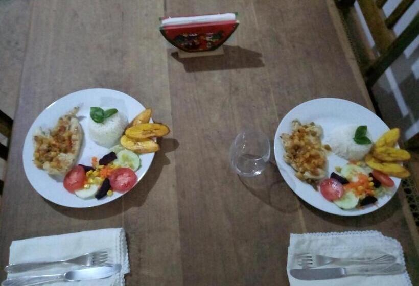 هاستل Amy S Room