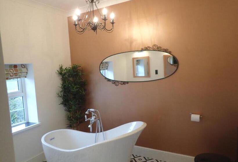 住宿加早餐 Dol Llan Mansion