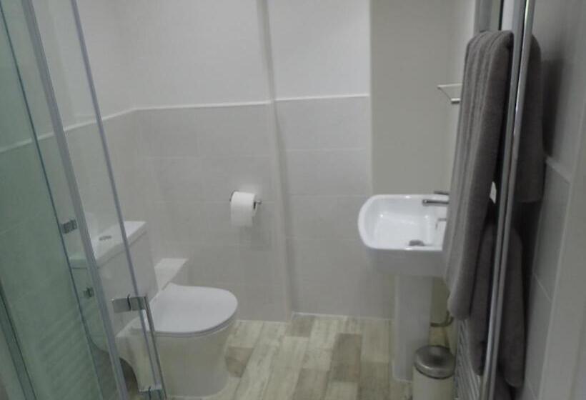 住宿加早餐 Dol Llan Mansion