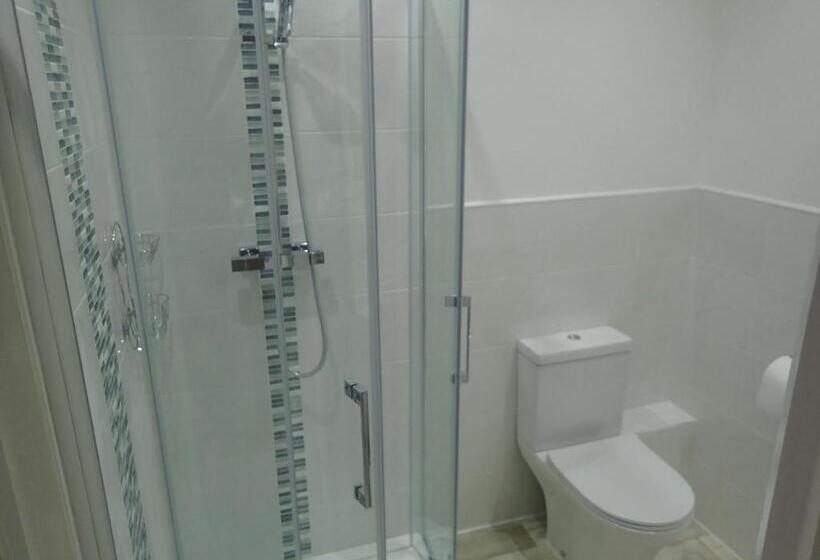 住宿加早餐 Dol Llan Mansion