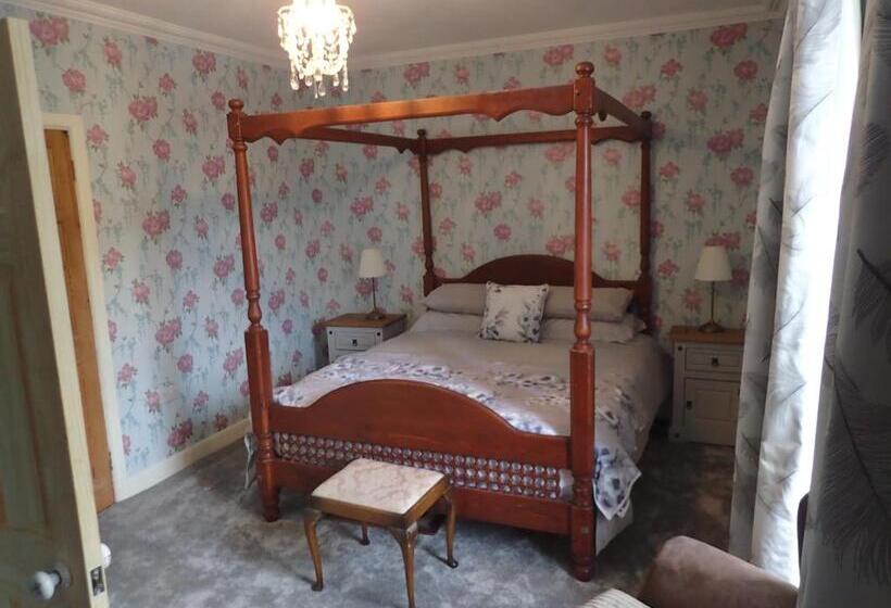 住宿加早餐 Dol Llan Mansion