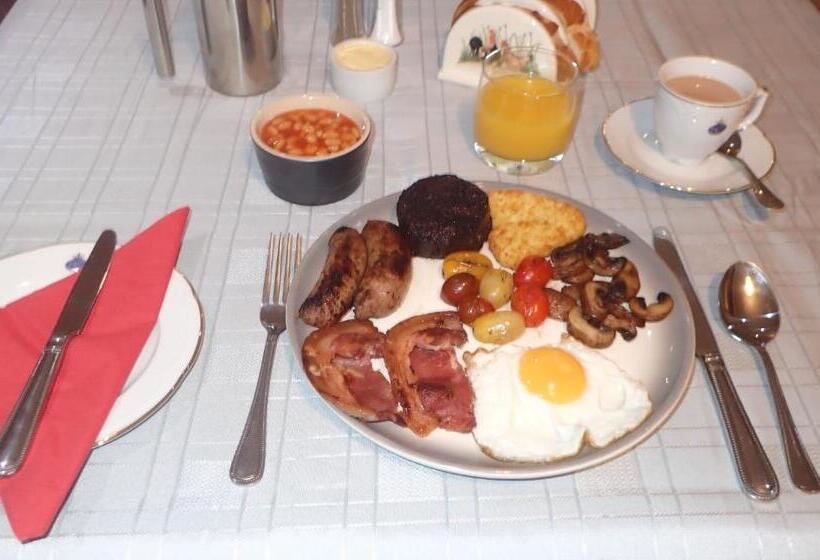 住宿加早餐 Dol Llan Mansion