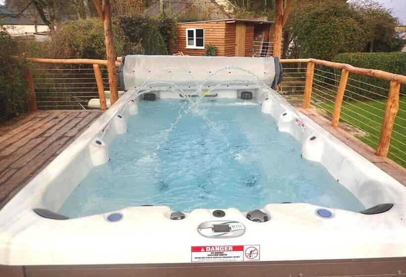 住宿加早餐 Dol Llan Mansion