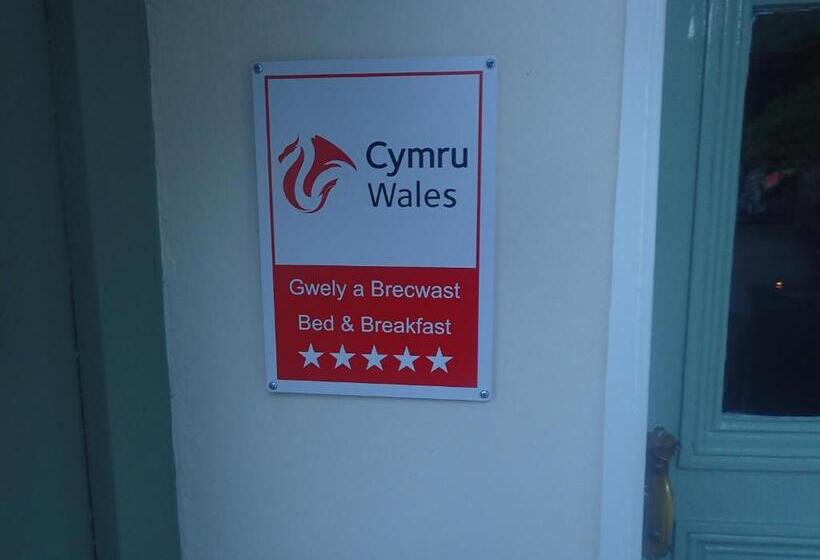 住宿加早餐 Dol Llan Mansion