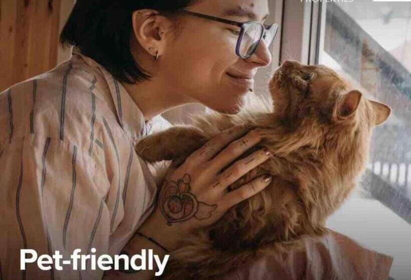 Bed and Breakfast Tranquil