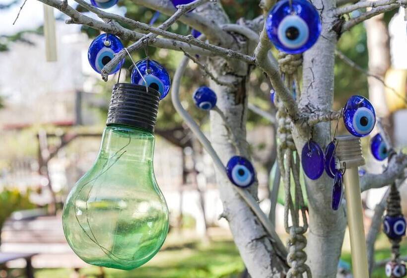 Butterfly Boutique Hotel Ağva