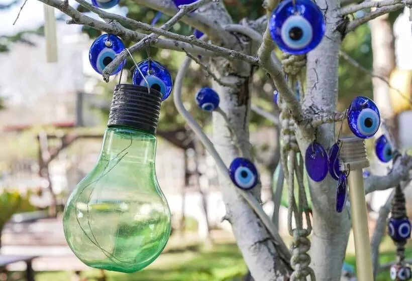 Butterfly Boutique Hotel Ağva