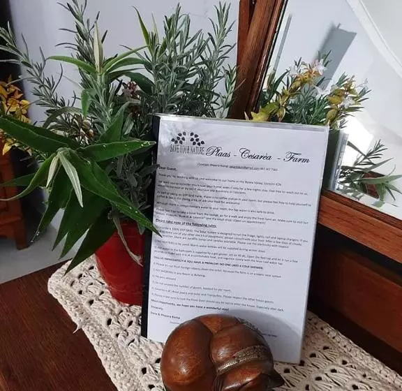 Cesarea Landgoed B&b
