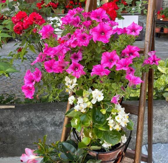 酒店 Albergo Mologna