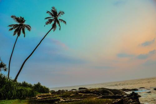 פנסיון Lake Side Cabana