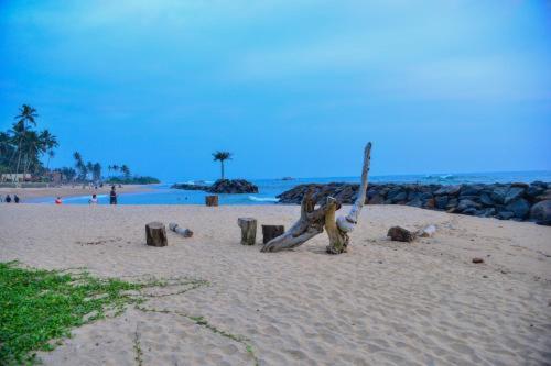 פנסיון Lake Side Cabana