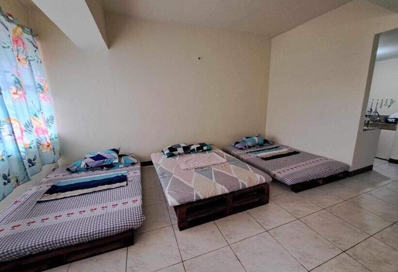 هاستل Andrielle S Place 520