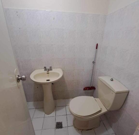 هاستل Andrielle S Place 520