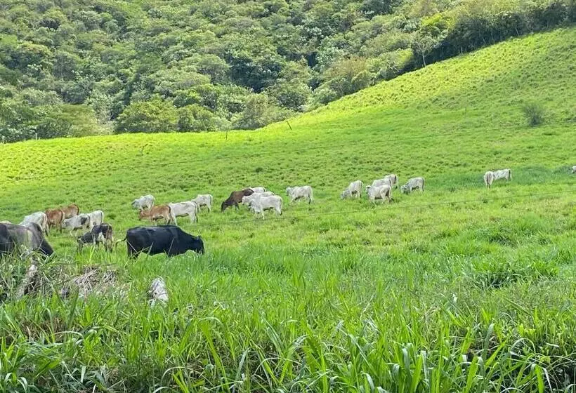 ホテル Hacienda La Tulia Eco