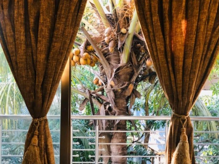 בית מלון כפרי Q 23 Resort & Suites