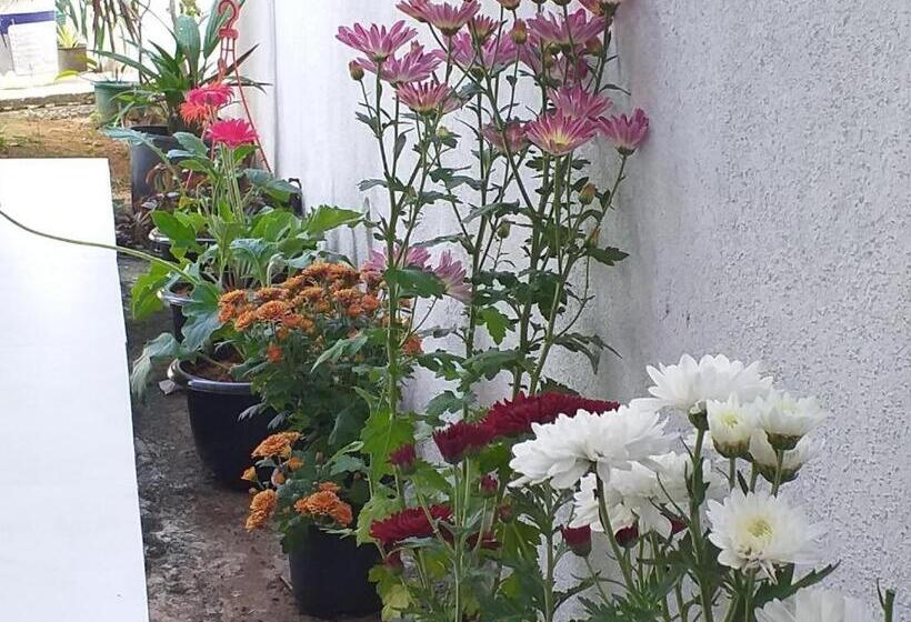 Pensione Mirissa Home Guest