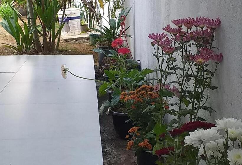 Pensione Mirissa Home Guest