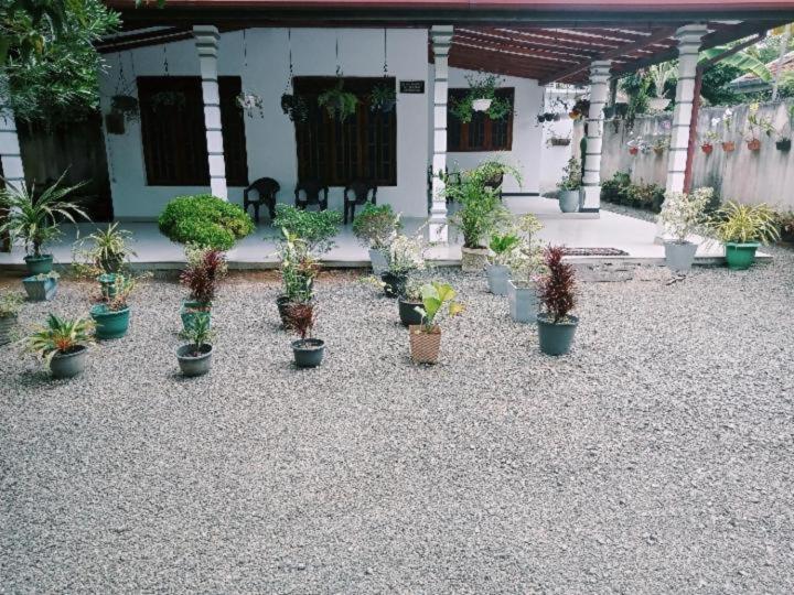 Pensione Mirissa Home Guest