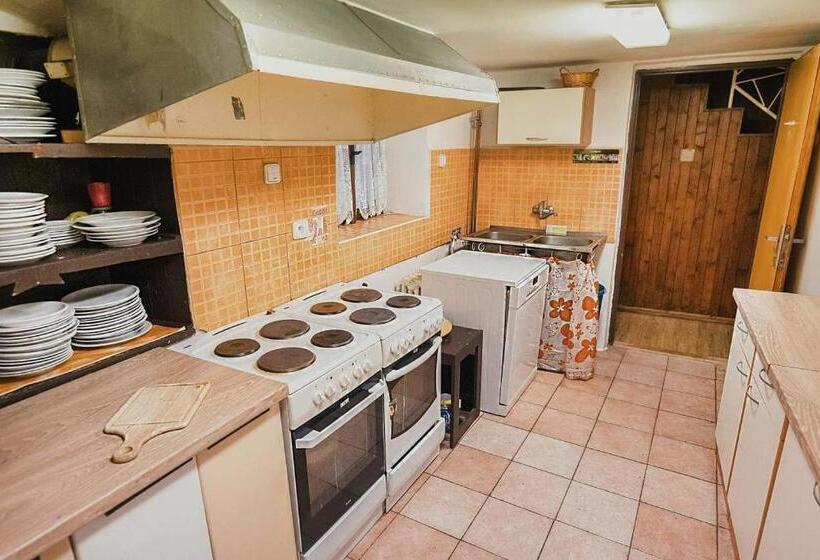 펜션 Horská Bouda šubišák