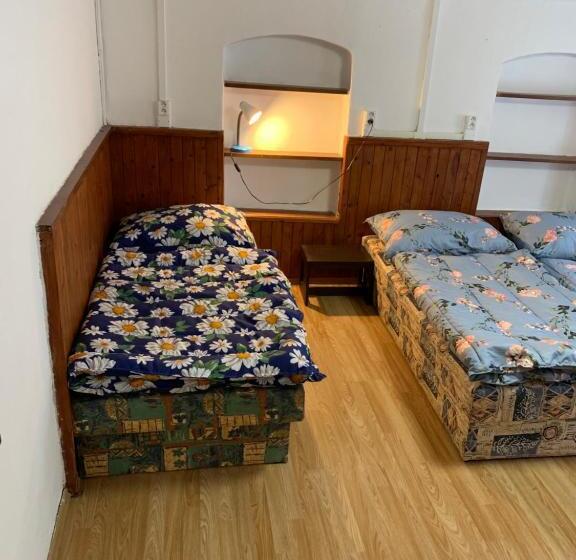 펜션 Horská Bouda šubišák