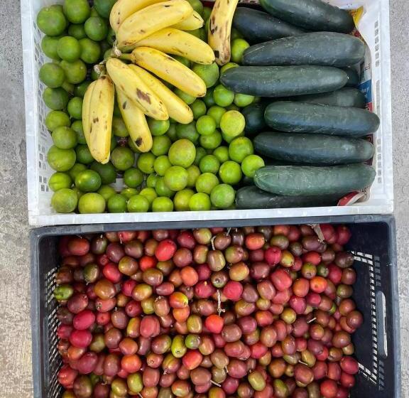 بنسيون Great Location Bed And Breakfast