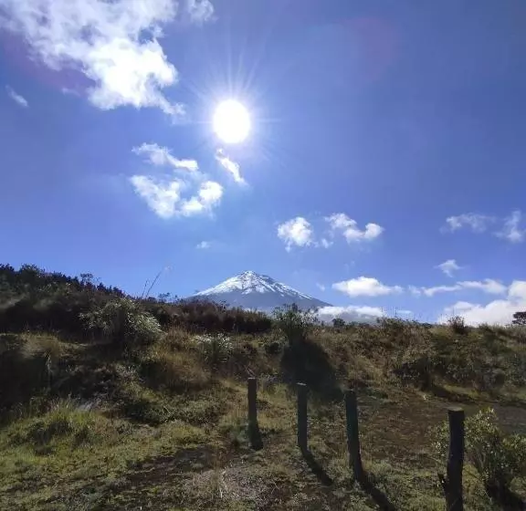 ペンション Great Location Bed And Breakfast