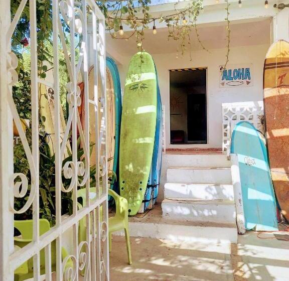 Aloha Surf Hostel