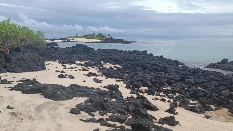 Bed & Breakfast Mantarraya