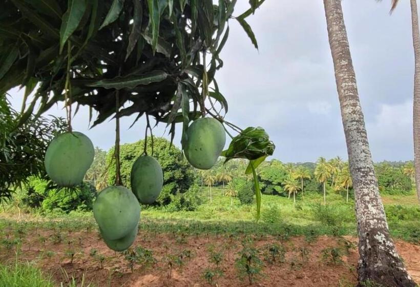 Bed and Breakfast Fully Private Villa 390sqm Zero Minutes To Beach 3 Star Serviced