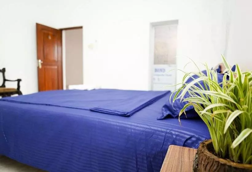 ペンション The Anam Hostel