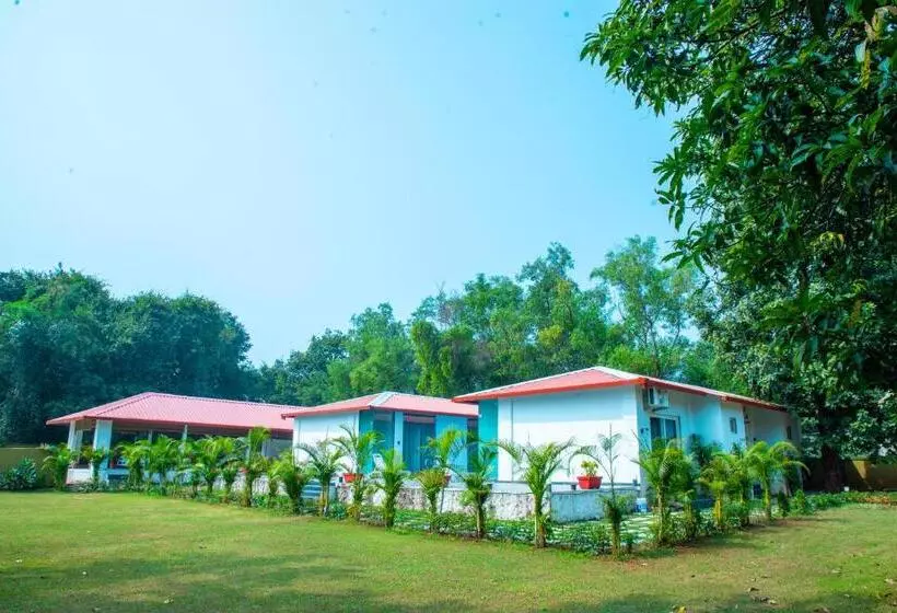 The Green Jungle Resort